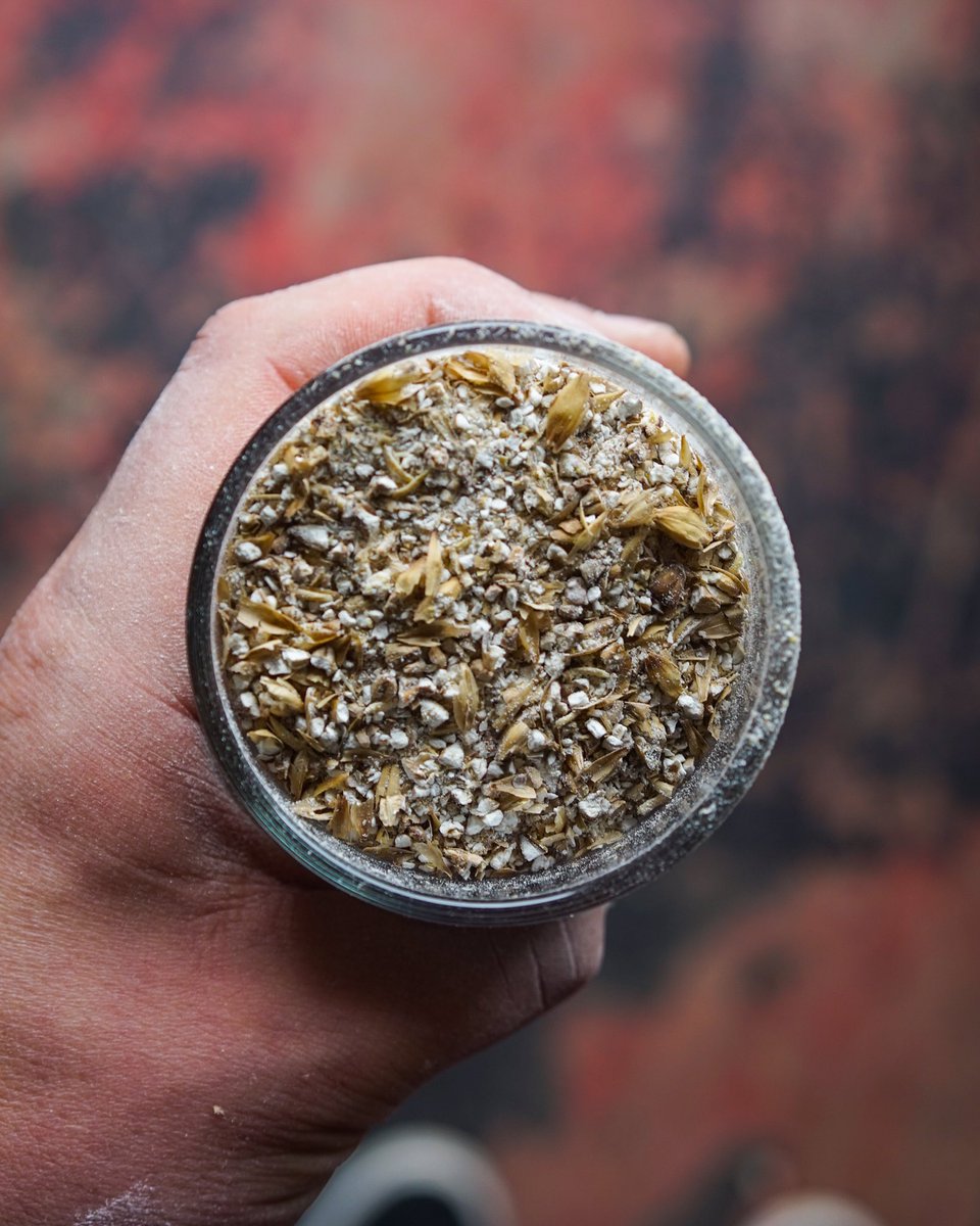 Planning the next grain experiment. We are leaning towards to Rye but what do you guys want to taste next?