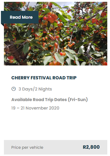 PlattelandTours's tweet photo. Read more about our @plattelandtours Cherry Festival Road Trip here: https://t.co/DrZGxENOBf

#roadtrip #roadtrip2020 #SouthAfricaisTravelReady #southafricaroadtrips #TourismMonth2020 #cherryfestival #cherryfarm #Ficksburg #Rosendal #Clocolan #SandstoneHeritagefarm #Clarens https://t.co/QAIee1TjtV