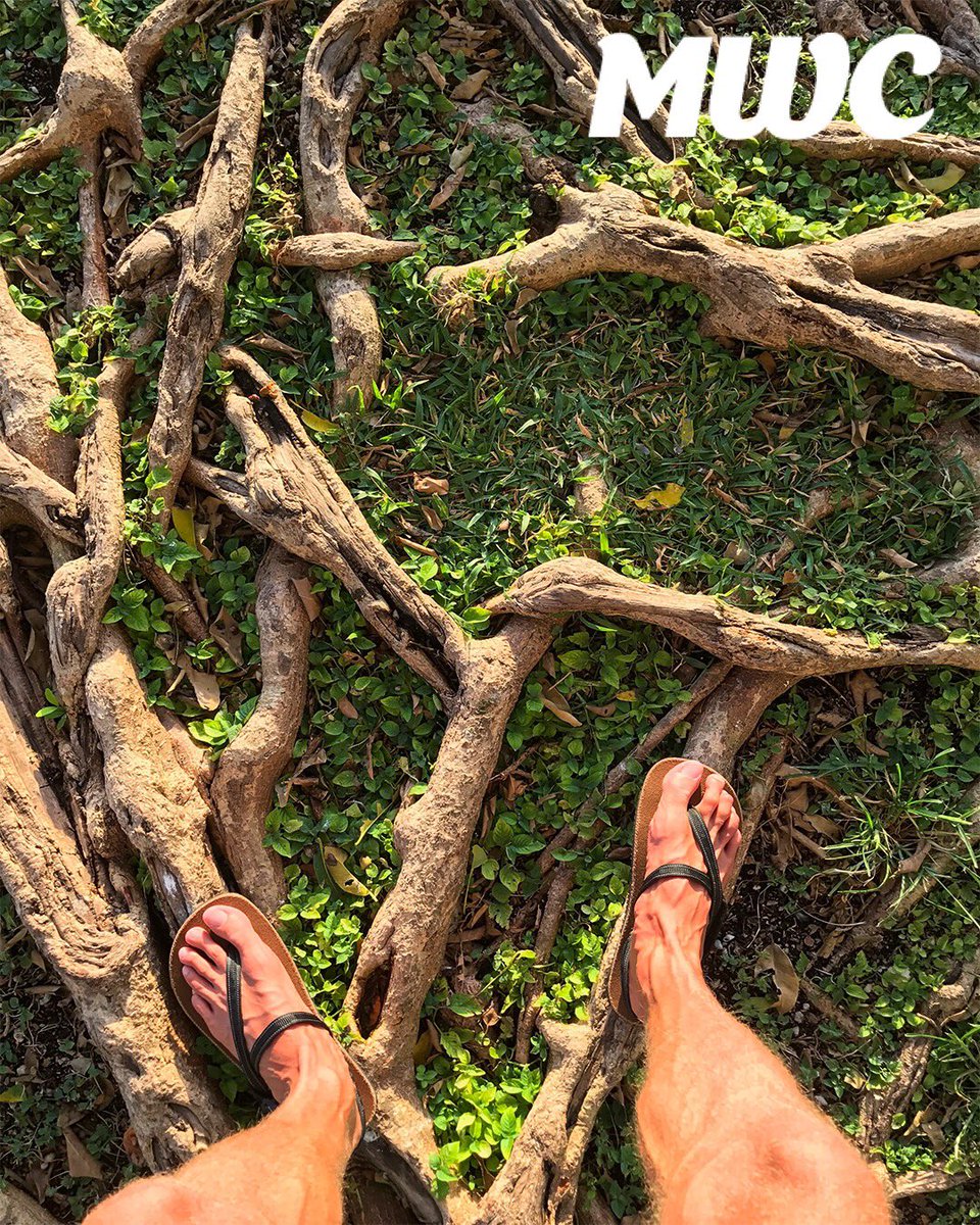 miawellnessclub's tweet photo. free your feet, rewild your sole! the typical modern domesticated lifestyle involves synthetic shoes, socks, pantyhose & many other foot coverings that artificially block our natural connection to the earth, #earthrunners is the solution. ☀️👣🌀 #miamiwellnessclub #healthyforever https://t.co/MAdeRUbas0