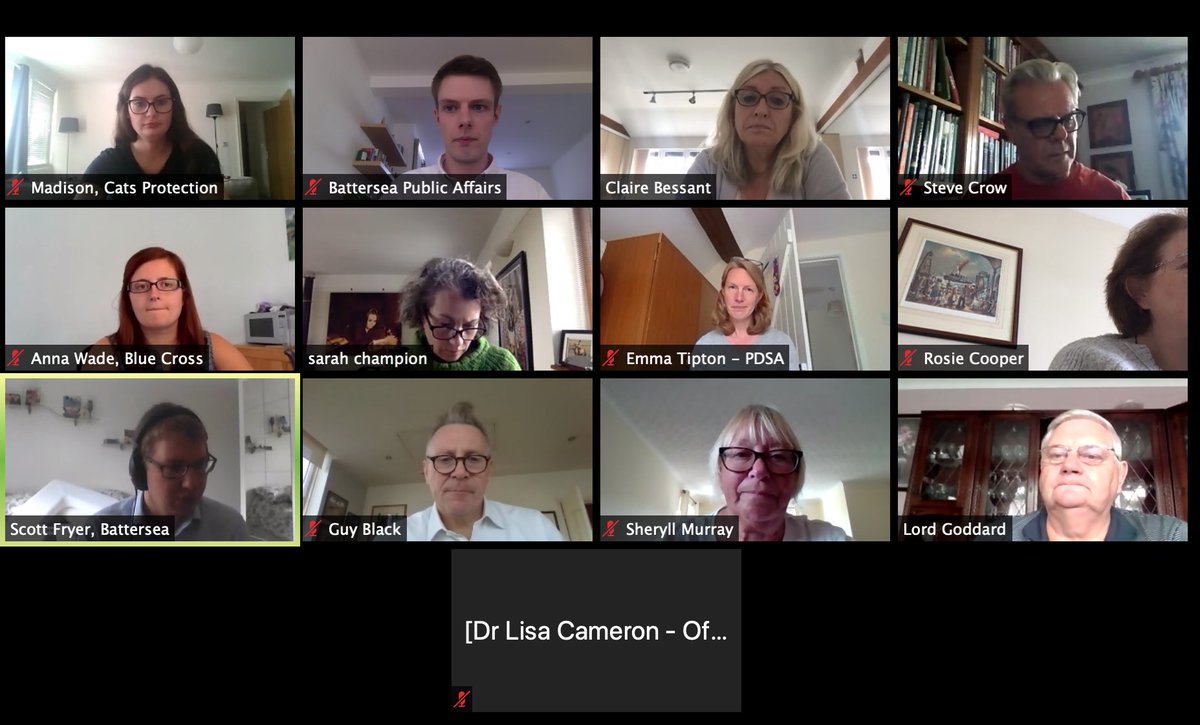 APGOCATs's tweet photo. Engaged and positive meeting of @APGOCATs today to reflect on the impact of COVID on animal welfare, the group’s report on tackling loneliness and to look ahead at several new priorities. Thanks to all for attending and your contributions! 🐈 https://t.co/FJeg7F1c6x