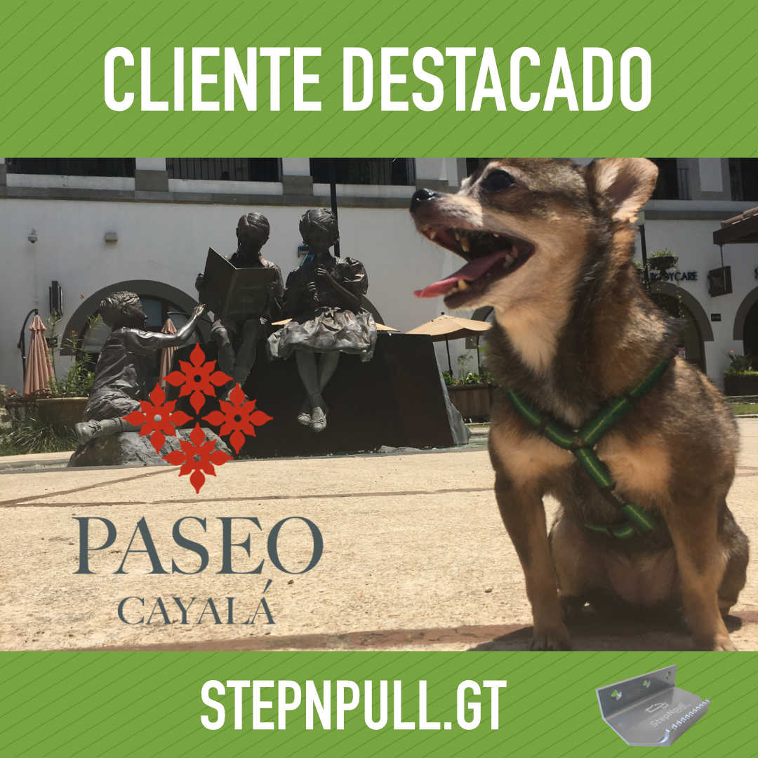 StepnpullGT's tweet image. Sobre Paseo Cayalá: tripadvisor.com/Attraction_Rev… 
#stepnpull #stepnpullgt