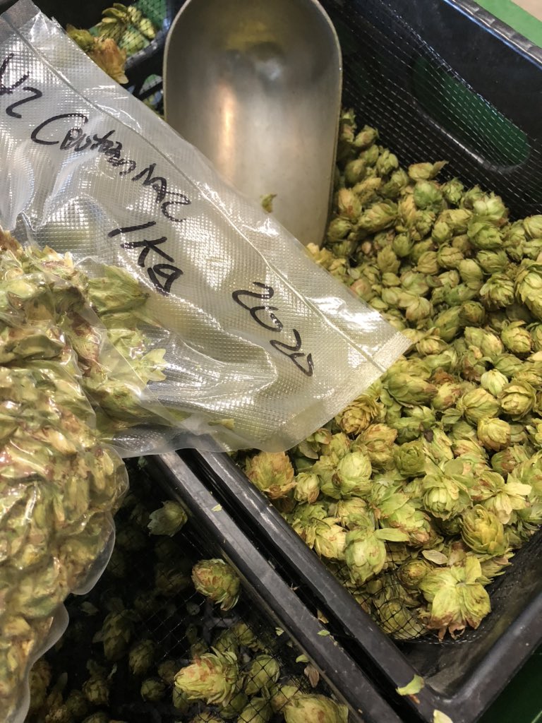 Straight off the dryer and into the kettle <a href="/paddysbrewbecue/">Paddys Barbecue & Brewery</a> along with <a href="/redshedmalting/">Red Shed Malting</a> for an all #AlbertaBeer