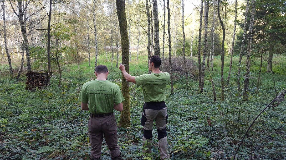 Je tiens à remercier tous les acteurs du projet <a href="/ForetProBos/">Forêt Pro Bos</a> et plus particulièrement les acteurs #wallons. Les outils issus de cette collaboration constituent une aide précieuse pour mieux connaître nos #forêts. 

🤝Agissons ensemble pour les forêts de demain. #walgov