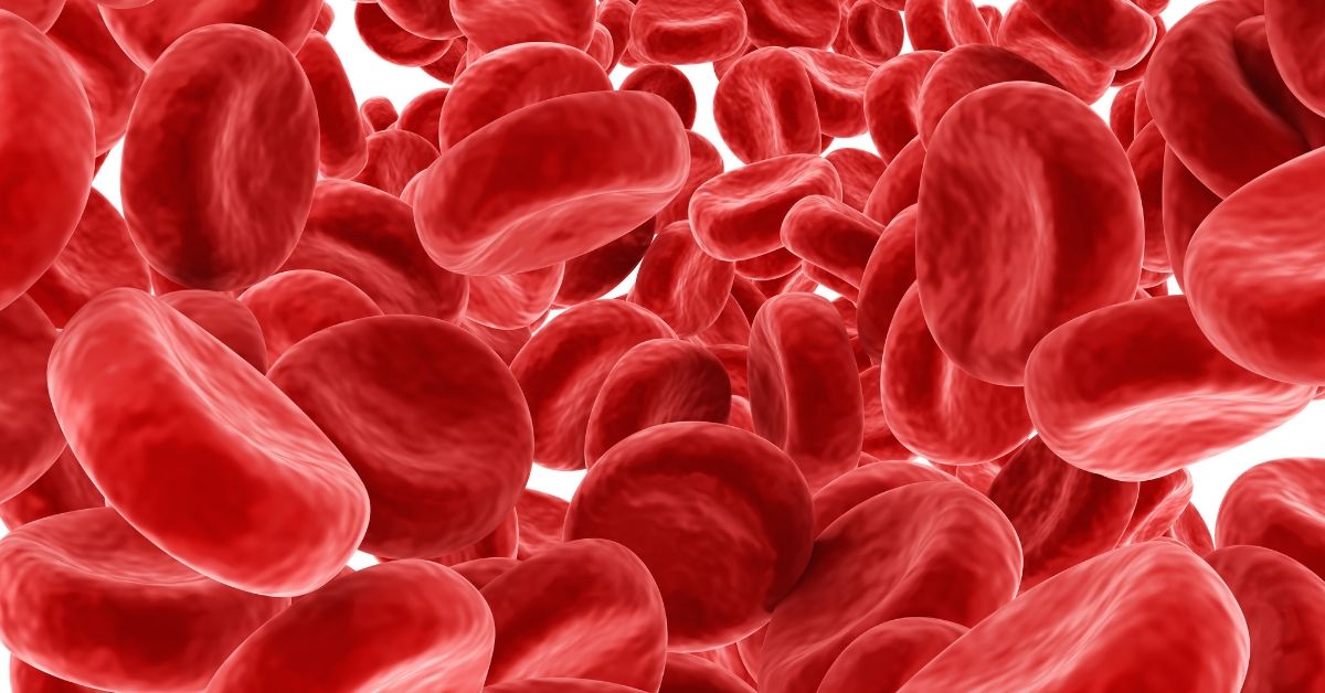 There are approximately 295,000 people living with myeloproliferative neoplasms (MPN) in the United States. Today on #MPNAwarenessDay, learn more about this type of blood cancer and LLS's research to find cures >> bit.ly/2Frjex6