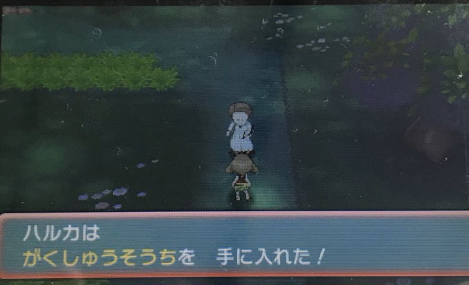 Inホウエンのtwitterイラスト検索結果