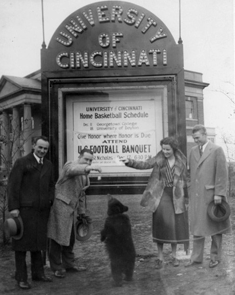 GoBEARCATS's tweet photo. We love Lucille, but there was something cool about having a live bear hanging around. 🐻 (1931-32) 

#Bearcats | #ThrowbackThursday https://t.co/r0HFpbHz0S