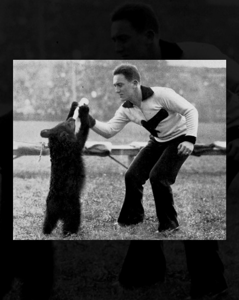GoBEARCATS's tweet photo. We love Lucille, but there was something cool about having a live bear hanging around. 🐻 (1931-32) 

#Bearcats | #ThrowbackThursday https://t.co/r0HFpbHz0S