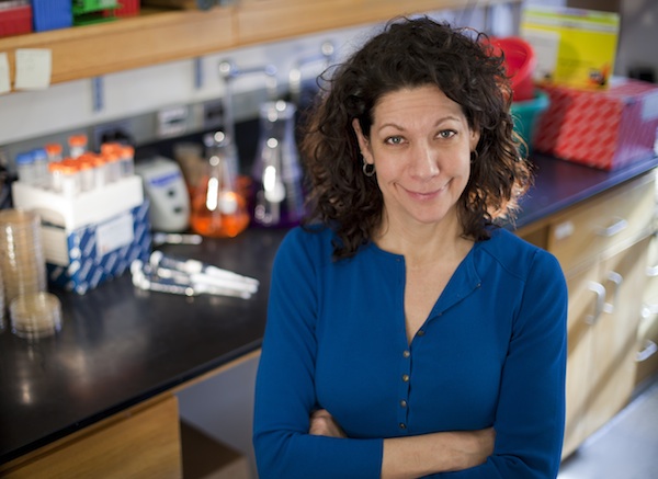 dukebiochem's tweet photo. Join Bonnie L. Bassler, Ph.D., Princeton University, on 9.18 when she'll be discussing "Quorum-Sensing Communication: From Viruses to Bacteria to Eukaryotes" Add to calendar and get email for zoom info. https://t.co/1JBx5DnYrO https://t.co/iivYnlqqbH