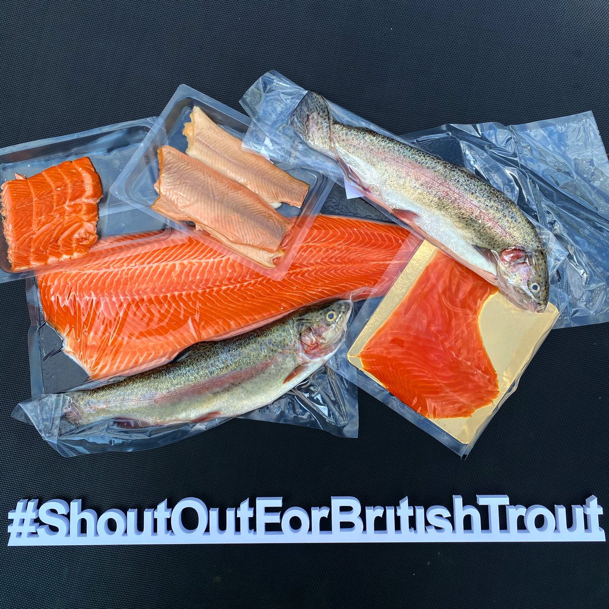 Look at this fabulous produce! This is amazing <a href="/british_trout/">British Trout</a>, highly sustainable, healthy, tasty and low-fat fish. British trout industry has sadly become rather overlooked during this pandemic. Please support our trout farmers!!! 
#ShoutOutForBritishTrout