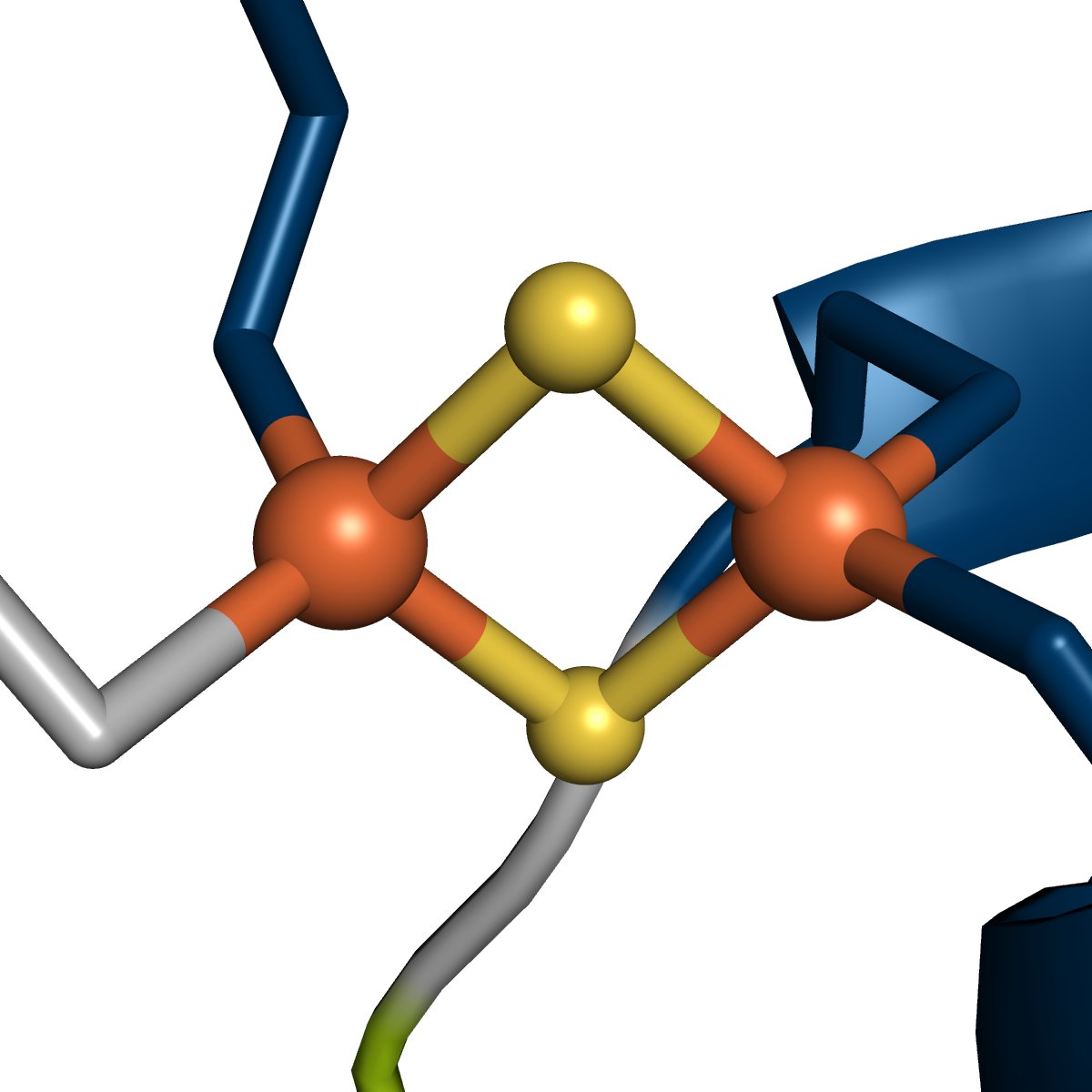 We are looking for a highly motivated #phdstudent to join our group. If you are interested in protein #crystallography and #FeSproteins send an email to ingrid.span@hhu.de #hhu