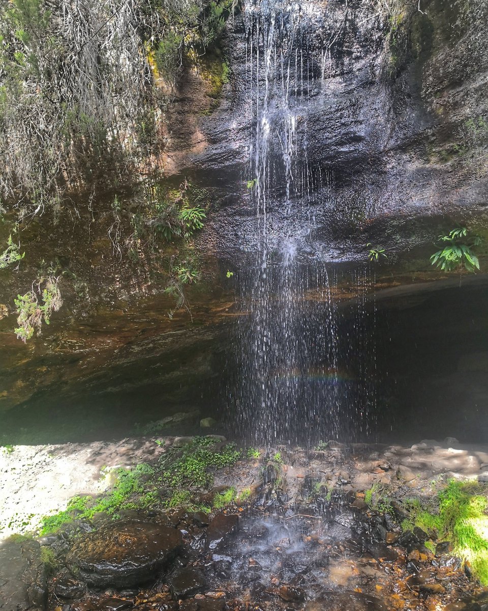 Cosas que nos gustan: el arcoiris que se forma en la cascada de Cueva Serena, en Duruelo de la Sierra (Soria).
¿Ya tienes plan para el fin de semana?
#turismo #turismorural #turismoresponsable #pueblos #dettur #pueblosyturismo #viajar #viajes #cuevaserena #pueblo