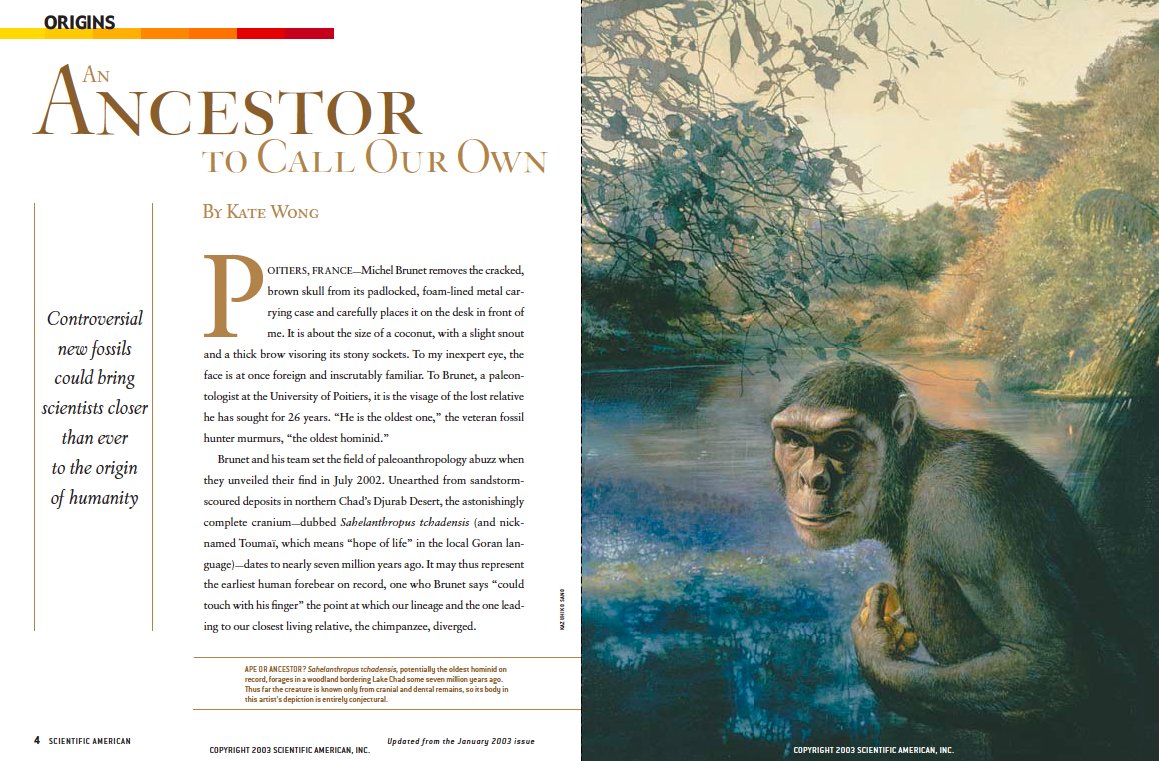 When I first started covering paleoanthropology the oldest known fossil hominins (members of the human family) belonged to 4 million-year-old Australopithecus anamensis & 4.4 myo Ardipithecus ramidus. Now the record goes back as far as 7 million years ago  https://www.scientificamerican.com/article/an-ancestor-to-call-our-own/