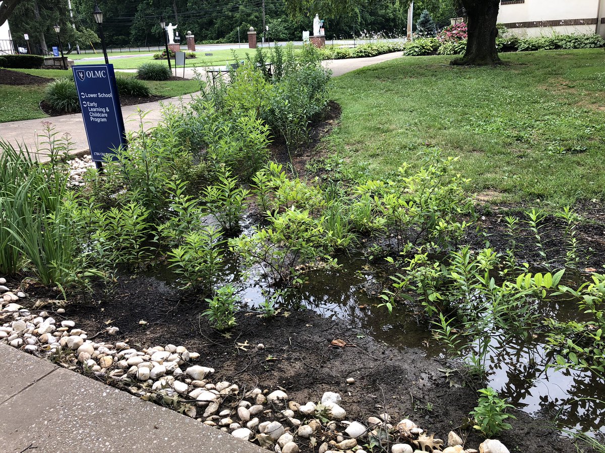 GunpowderValley's tweet photo. Caring for your local waters is a way of caring for your neighbors. Join @IPC_Chesapeake free webinar "Watershed Eyes: Do Unto Those Downstream" today at 7 pm. Our Associate Program Manager will discuss actions that local congregations can take to reduce pollution https://t.co/k0gdL1qSnr