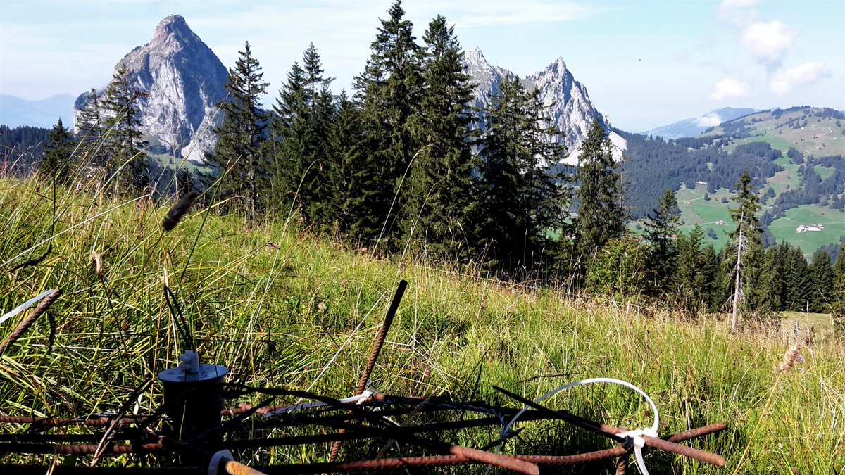 I spent the day collecting groundwater samples in #Alptal. I will definitely miss this place!