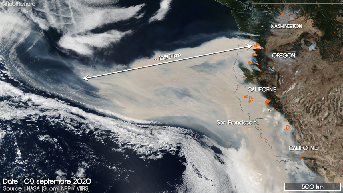 Robin ⚡ tweet media