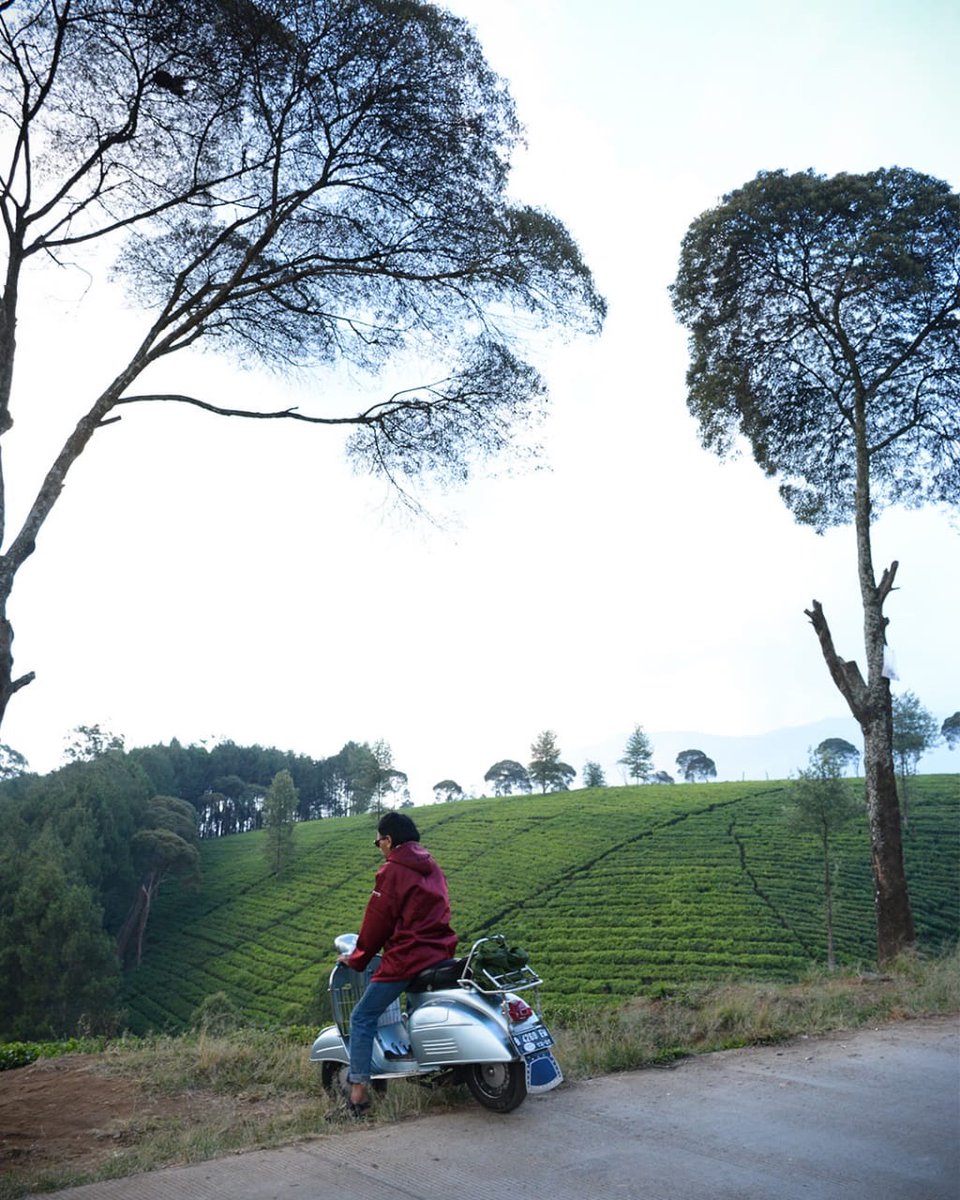 Hidup tidak selalu tentang dirimu. Hidup juga tidak selalu tentang memikirkan orang di sekitarmu. Menepilah, supaya kamu tau sudah sampai di mana. Mengapa? Karena berbahagia itu mutlak!
