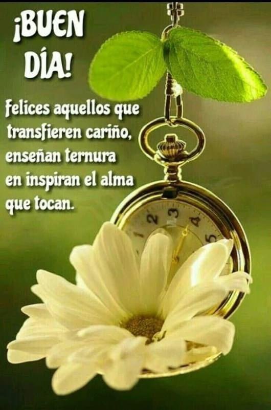 <a href="/team_EVORA/">Team Cesar Evora ®</a> <a href="/BlancaBema/">CESÜR VE GÜZEL</a> <a href="/marthavesela/">Martha Jaky</a> <a href="/FansdHelenaRojo/">Helena Rojo Fans</a> <a href="/DessaHandball/">Andressa nunes</a> @tatyfigueroa @indre198603151 <a href="/LCavalhosantos/">Liamaria Cavalhosantos</a> <a href="/StellaFernndez9/">Stella Fernández 🇦🇷</a> feliz jueves tropa 🌷<a href="/Jenny1959a/">Jenny Aponte</a>