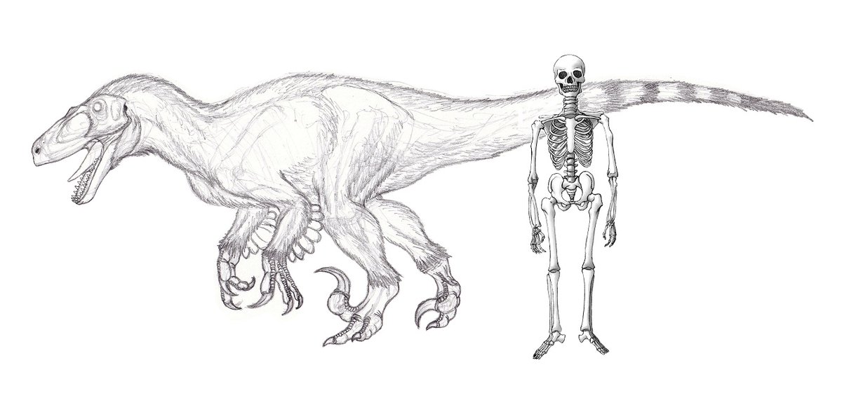 ユタラプトル Anazhthsh Twitter