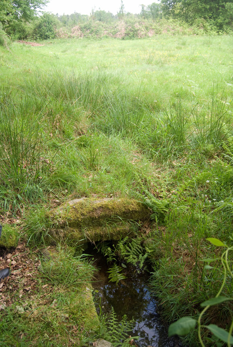 Lo lógico es que el abandono y el paso del tiempo puedan causar el mismo efecto en este tipo de infraestructuras que lo realizado por una catástrofe natural en un instante.Y los manantiales se pueden secar por un cambio climático o desplazar por alteraciones del terreno.