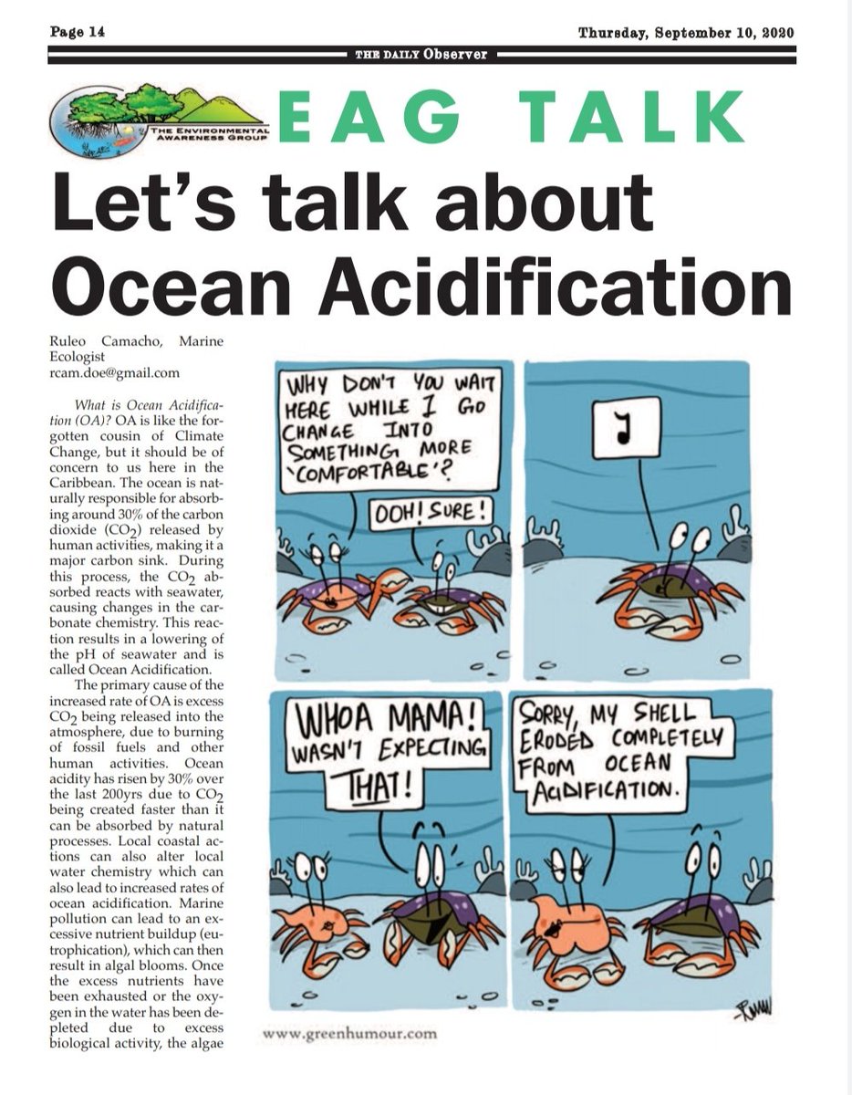 orangeone_rac's tweet image. Educate yourselves this morning! Let&apos;s learn about Ocean Acidification! #OAweek 
#oaweek2020 
#OceanAcidification
#GOAON