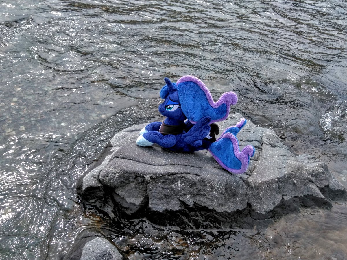 ★じつは昨日までは大荒れだった日本海💦🌊🌊🌊
Seapony Luna : 今日は海の波も川の流れも穏やかなものじゃ♪