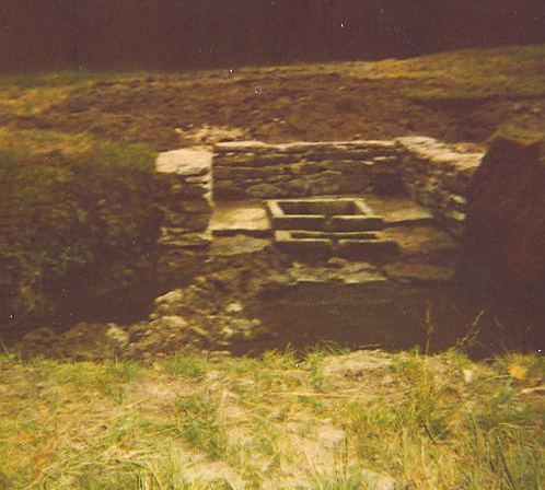 En 1989 la  @Xunta promovió su estudio a través de una excavación arqueológica.De la fuente sólo desmontaron los muretes. Los materiales asociados a ella fueron datados en el siglo I, coincidente con el momento de abandono del castro.