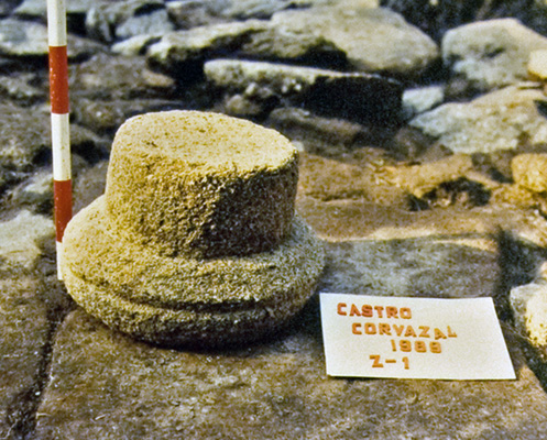 En 1989 la  @Xunta promovió su estudio a través de una excavación arqueológica.De la fuente sólo desmontaron los muretes. Los materiales asociados a ella fueron datados en el siglo I, coincidente con el momento de abandono del castro.