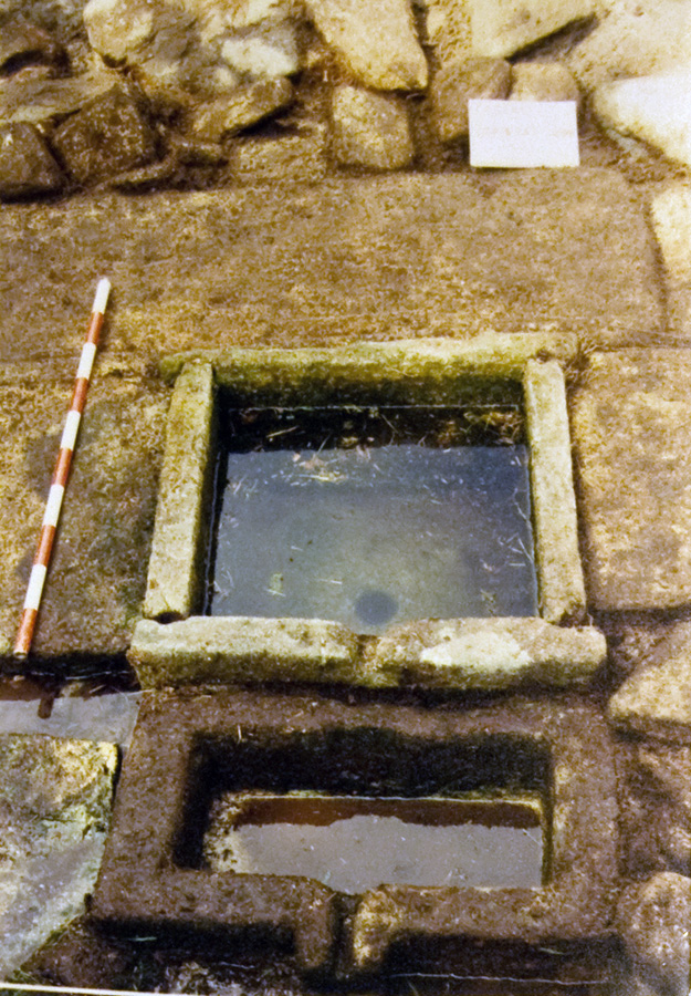 En 1989 la  @Xunta promovió su estudio a través de una excavación arqueológica.De la fuente sólo desmontaron los muretes. Los materiales asociados a ella fueron datados en el siglo I, coincidente con el momento de abandono del castro.