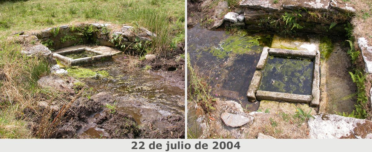 La situación actual de esta excepcional estructura arqueológica me obliga a denunciar, una vez más, su peligroso estado de abandono, causado por una desidia crónica en la protección del patrimonio arqueológico y cultural tan propia de las diferentes administraciones gallegas.