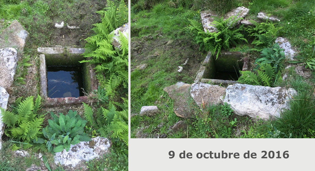 La situación actual de esta excepcional estructura arqueológica me obliga a denunciar, una vez más, su peligroso estado de abandono, causado por una desidia crónica en la protección del patrimonio arqueológico y cultural tan propia de las diferentes administraciones gallegas.