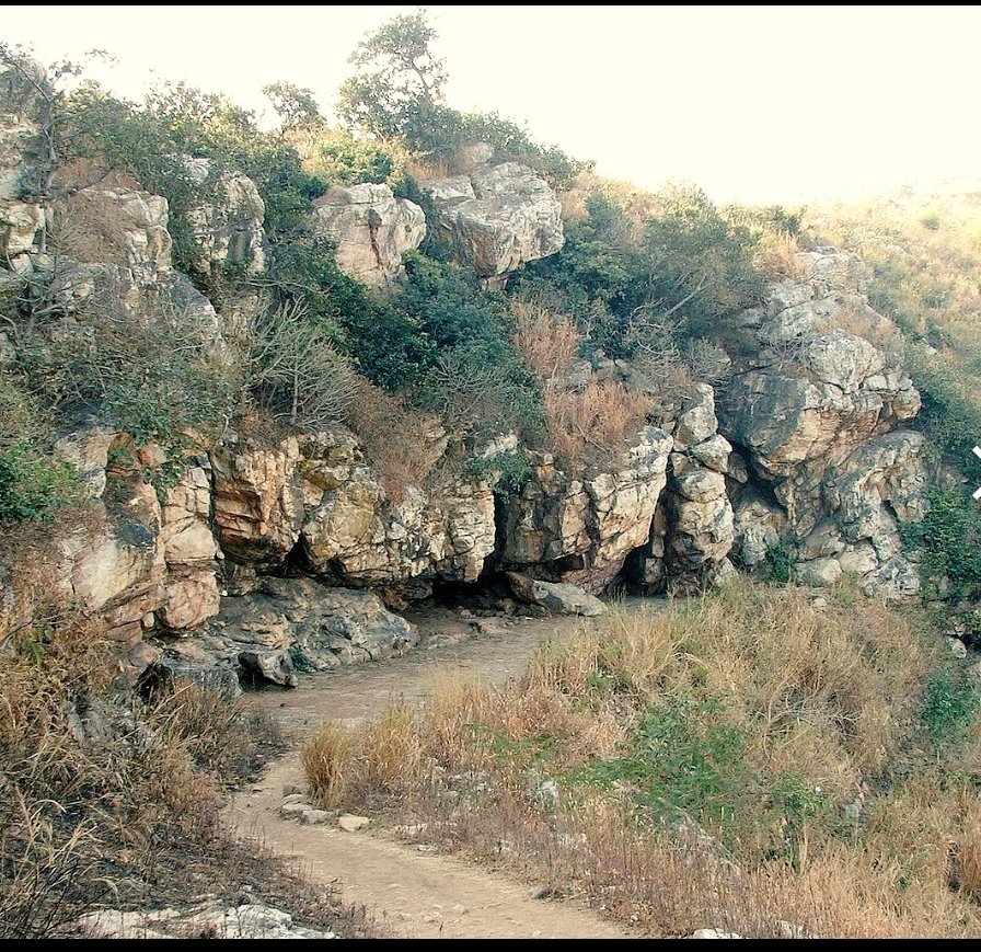 Bimbisar's relationship with Gautam Buddha:Ajatshatru was liberal in religious views, and extended Royal patronage towards Vaishnavism, Budhism and Jainism.Buddha got enlightened in Bodh Gaya, close to Vaishali.Mahaparinirvana of Buddha shattered Ajatshatru, he organized the