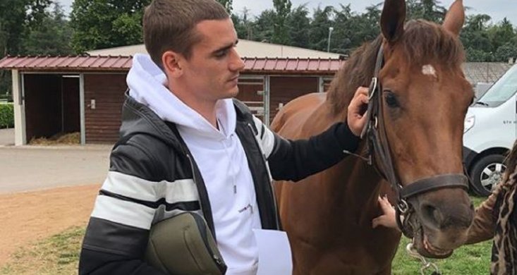 Griezmann7_FR's tweet photo. #Griezmann a dépensé 307.000€ dans sa seconde passion, les courses #hippiques 🐎
Il a ainsi pu faire l'acquisition de 4 yearlings (des pur-sangs) supplémentaires 🐴
Les achats on été réalisé par Mickäel #Cormy, entraîneur et driver chez qui tous les chevaux sont en pension https://t.co/LZGESiEL45