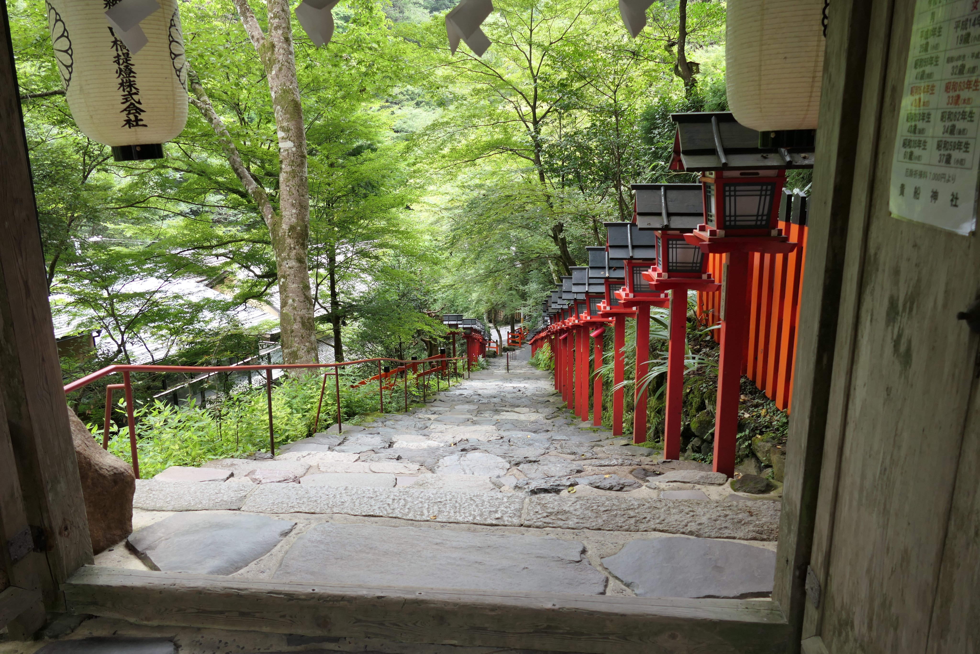 京都今これ On Twitter 左京区の貴船神社で秋海棠が咲き貴船菊も咲きだしていました 朱色の灯篭の間に咲く秋海棠は可愛いです 境内の貴船菊も一輪が咲き蕾が沢山膨らんで来ています 市内より涼しく朝夕は寒い位ですよ Https T Co Eyndawelex Twitter