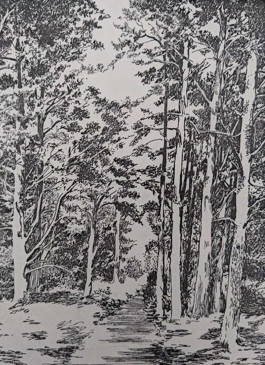 Yesterday was her funeral. We gave her a good send-off despite the Covid restrictions. She was a wonderful, selflessly kind, witty, talented, trailblazing woman. I'm happy we can finally put the last 10 years behind us and remember the better times. Here's some more of her art