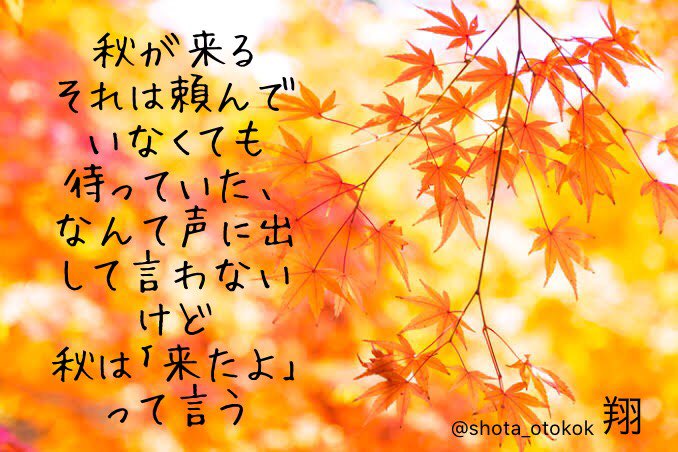 しょっぴー 春夏秋冬 季節は巡る ポエム 詩書きさんと繋がりたい ポエマー 詩子あーと 猫が出るボタン ديد الرجال T Co 6hpvllt0ma Twitter