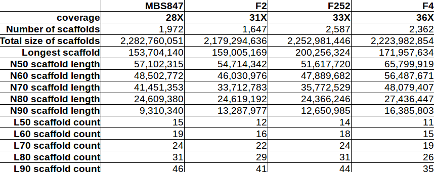 GeT_Genotoul's tweet photo. Very nice assembly results on #SeqoccIn project for 4 #maizes lines from ~30X coverage @pacbio HiFi read data. @BioinfoGenotoul #moulon @INRAE_IDF @Occitanie
@INRAE_France @INRAE_Tlse @fr_genomics @INRAE_Intl https://t.co/SZHEBIiPHn