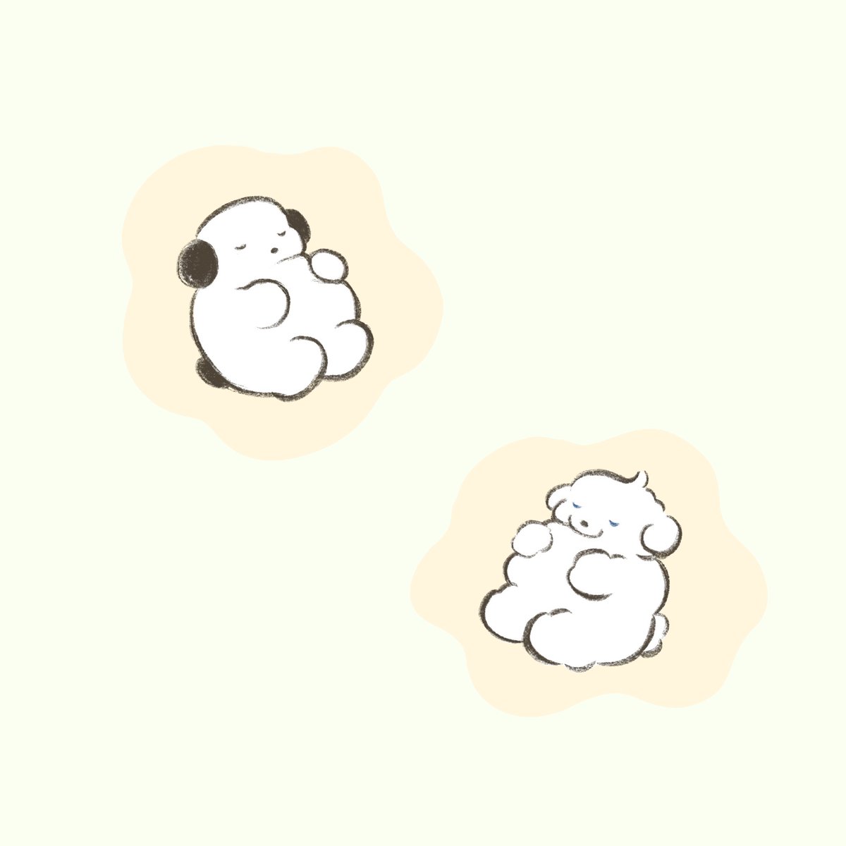 ココモとスモア ぷかぷか ぽんぽこ寝