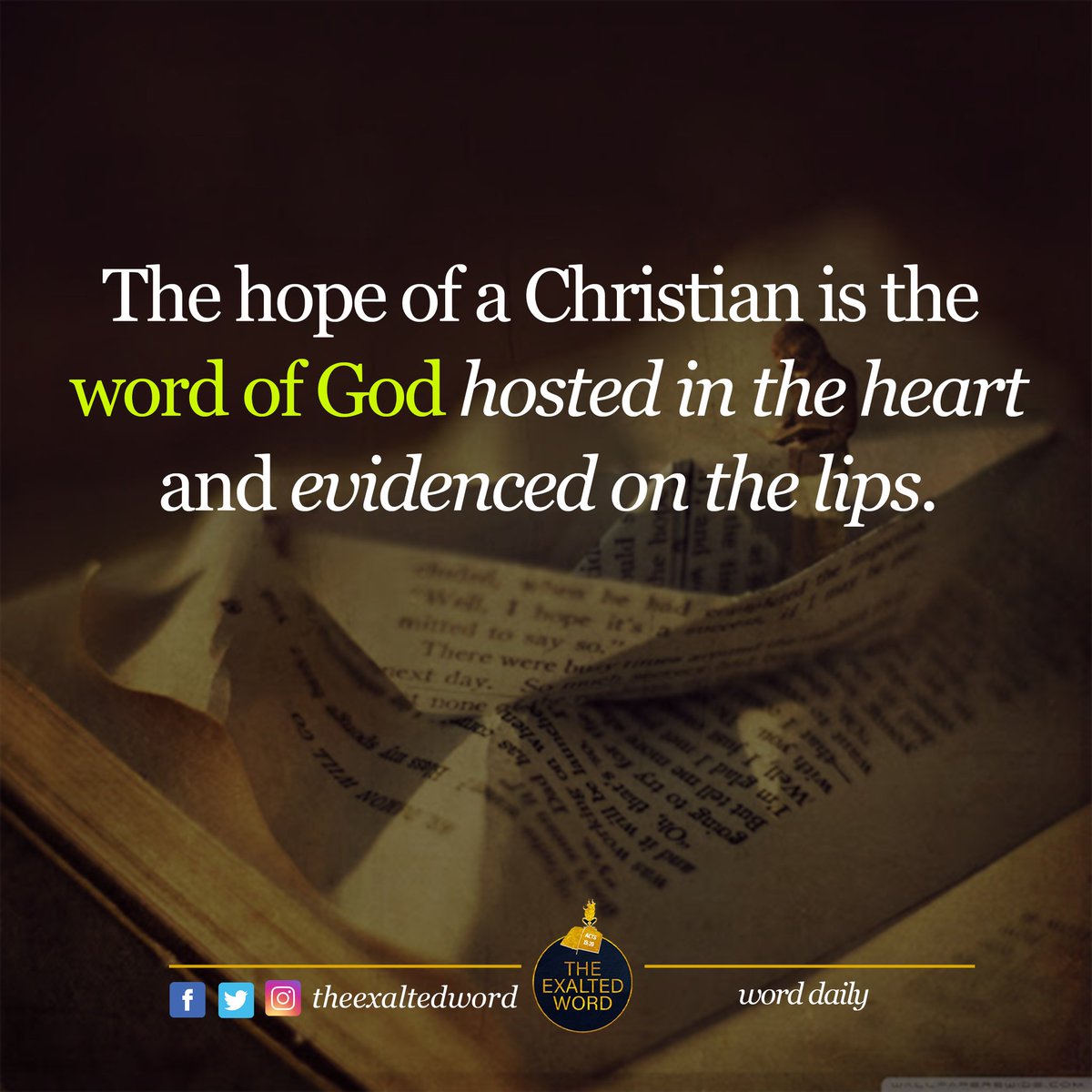 TheExaltedWord's tweet photo. The hope of a Christian is the #word_of_God hosted in the heart and evidenced on the lips.

#TheExaltedWord https://t.co/GZhtEjyhrv