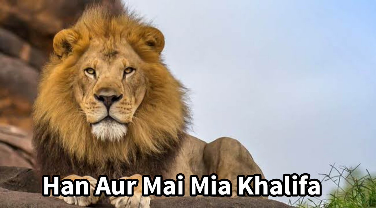 RahulMa17's tweet photo. Lion after seeing this trend
#महाराष्ट्र_का_CM_शेर_है
#Thackeray https://t.co/wuzoxNPKSR