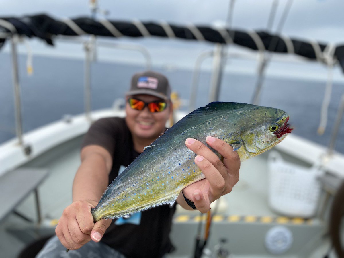 Kiris アネロンジャンキー 本日の釣果 ペンペン シイラ メーターオーバー4 5kg 1 カナガシラ 1 ホウボウ 4 一応タイ狙いで行ったけど船の後方でブリが上がってしまったのでずっと青物狙ってたw 初めてキャスティングしたけどシイラ大爆発でたーのしー