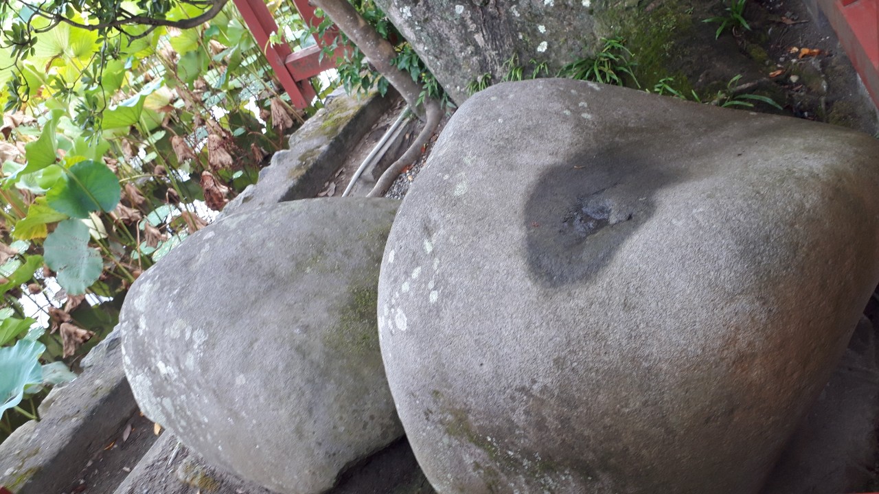 Ste Ka 鶴岡八幡宮旗上社うらの政子石 姫石 頼朝が安産祈願をしたという陰陽石 鶴岡八幡宮にはじつはこういう石がいくつかあり 神仏習合時代ではあろうが磐座的な意味があったかも この社はいったん払われており 手元の明治の鎌倉図にも書いてない