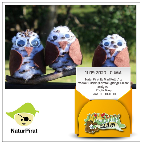 11.09.2020-Cuma
NaturPirat ile Mini Kulüp' te
“Meraklı Baykuşlar/Neugierige Eulen” atölyesi  
Küçük Grup
Saat : 10.30-11.30