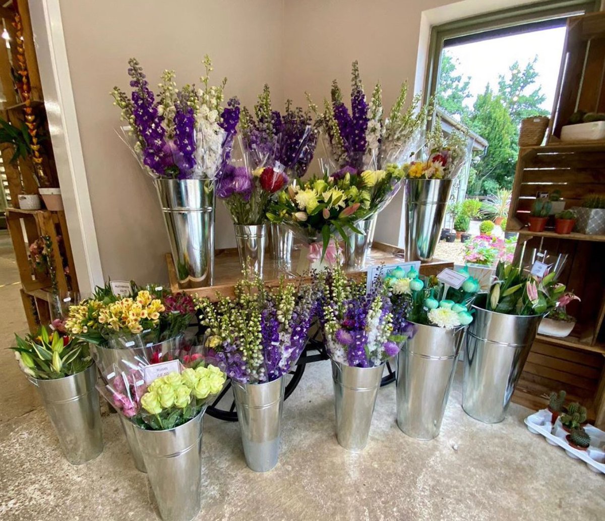 Pearce's tweet media