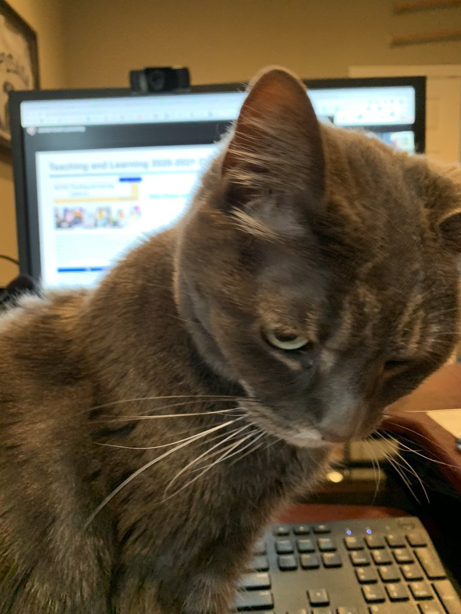 MrBrianSackett's tweet photo. Anybody else having this issue when trying to log on today? My screen is all fuzzy and there is a soft “rrrrrrrrrr” sound coming from@just in front of the monitor. https://t.co/QUGBxyRio2