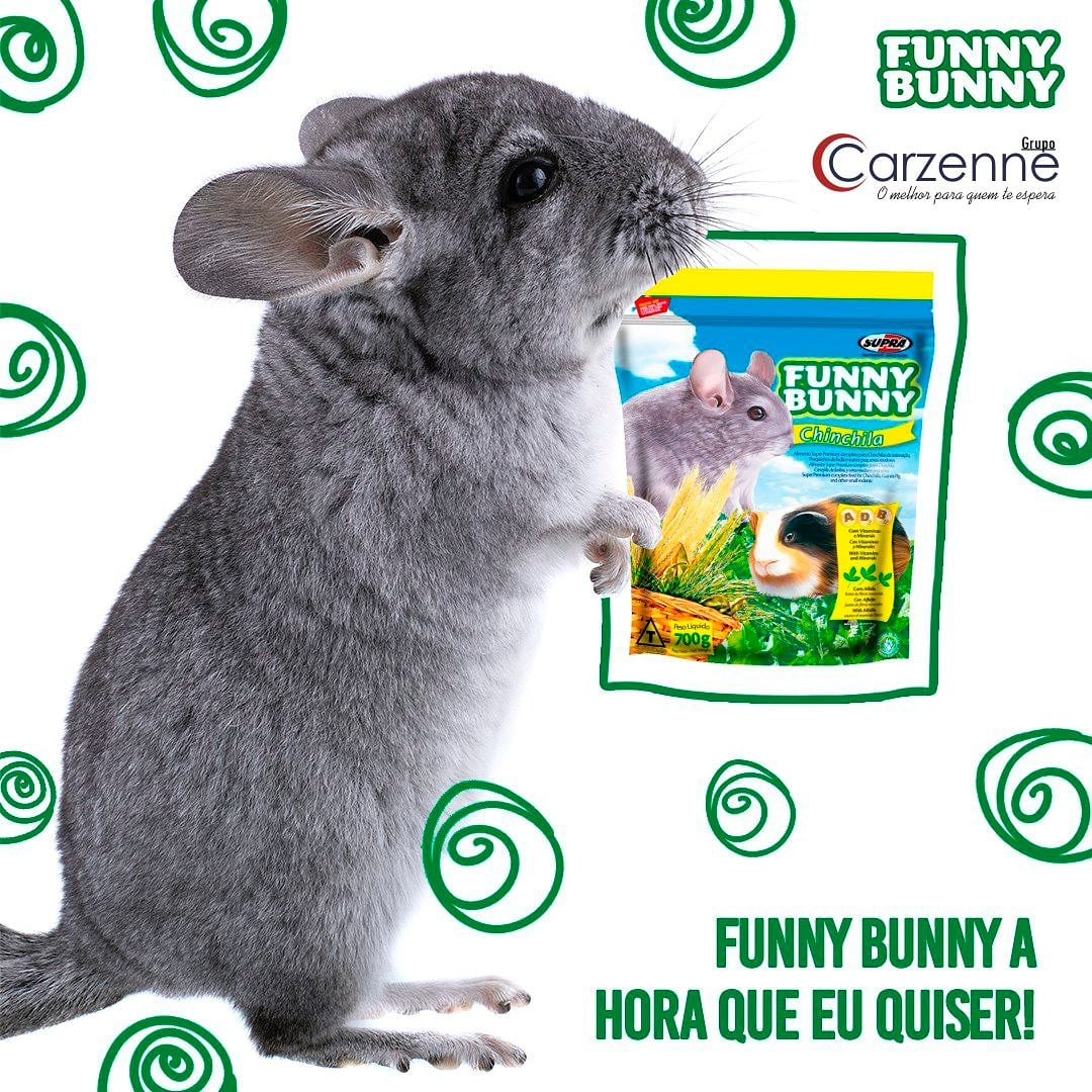 carzenne's tweet photo. De paladar exigente, as chinchilas são apaixonadas por correr, pular e brincar. Pra que elas tenham sempre muita energia, você já sabe, né? Funny Bunny Chinchila em todas as refeições!

#grupocarzenne #suprapets #funnybunny #chinchila https://t.co/NlHi3NvwE0