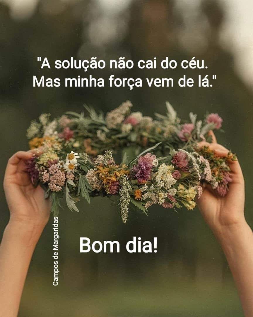 staritactba's tweet photo. Vamos fazer uma boa quinta-feira, com as bênçãos de Deus! #santarita #oreemcasa #usemascara 😷 🌹🌹🌹🌹 https://t.co/ZvCtBA5Ys2
