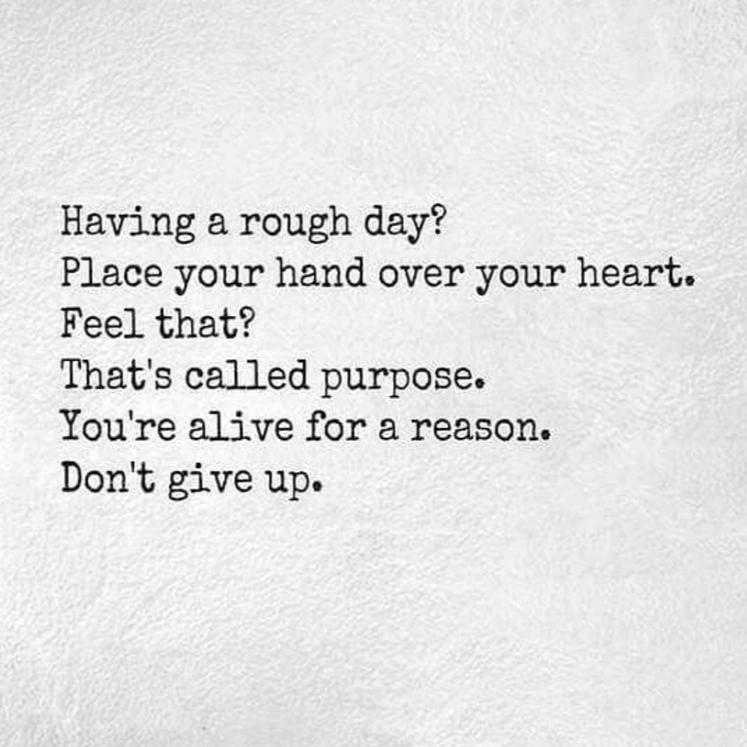 Will Young tweet media