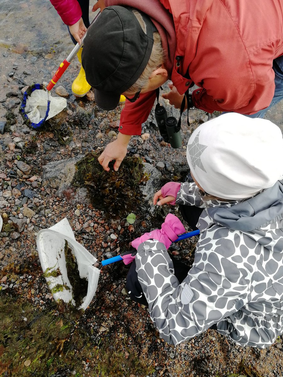 HeidiTuhkanen's tweet photo. Finding the balance between digital tools and manual ones (hands) is key to effective and inspiring #CitizenScience. #urbanecoisland #centralbalticinterreg @SEIresearch @HelsinkiKymp https://t.co/InPMprKrfY