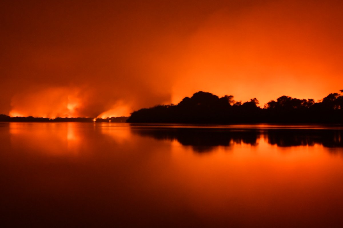 The Pantanal is currently on fire in Brazil and yet this doesn’t make the headlines. I don’t mean to say it is more or less important than current fires on the US west coast or the Australian fires last year, but this might be an consequence of climate change. A thread 1/n