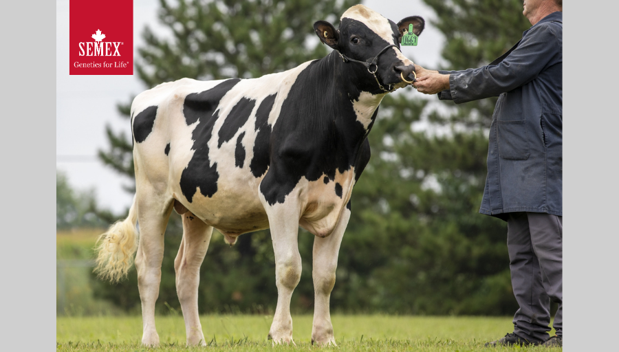 Semex tweet picture
